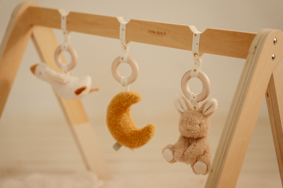 Babygym Newborn Naturals