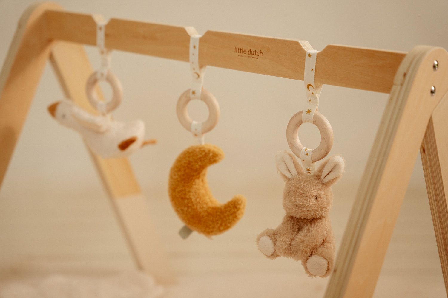 Babygym Newborn Naturals