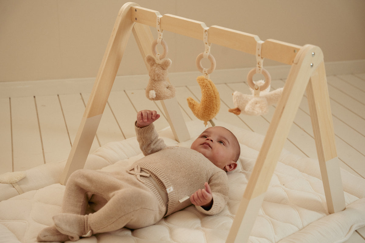 Babygym Newborn Naturals