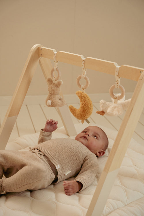Babygym Newborn Naturals