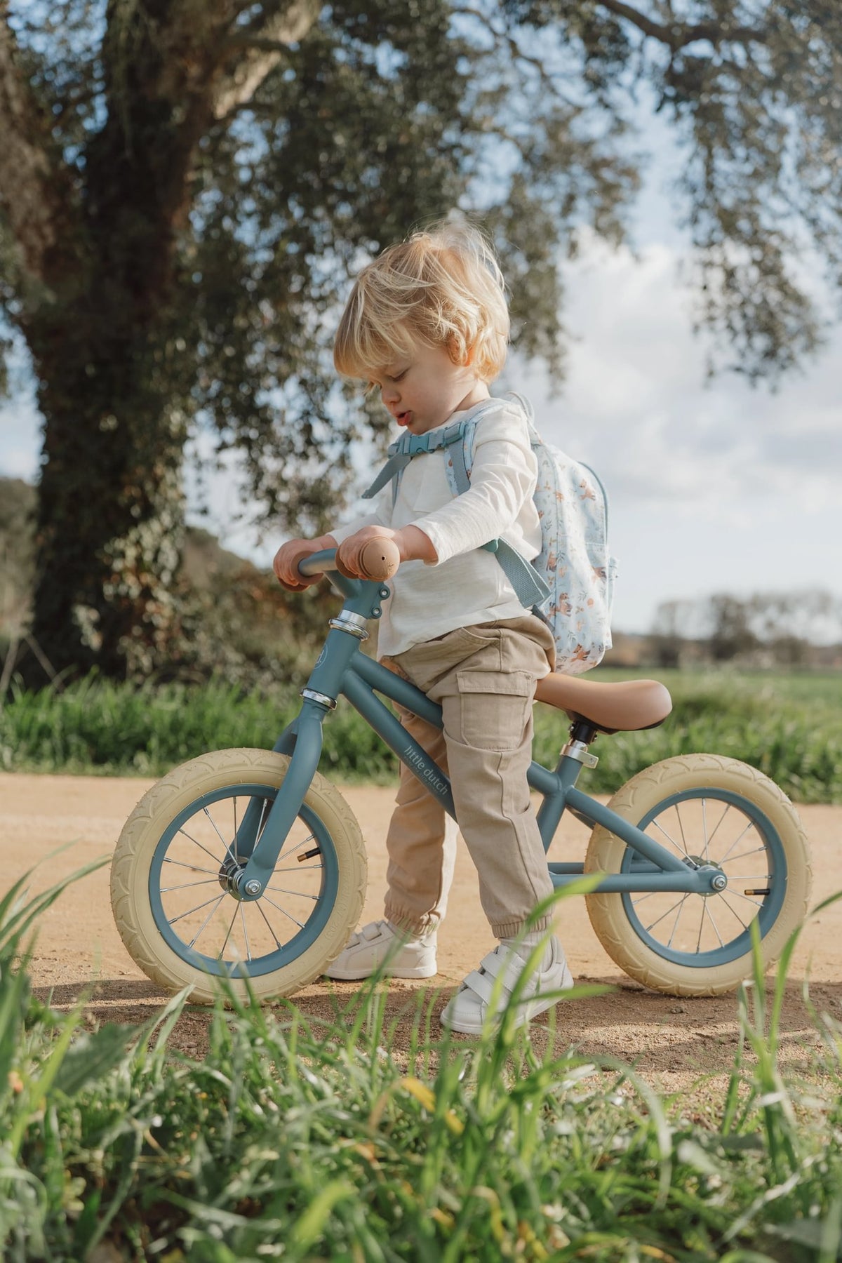 Balance Bike - Blue