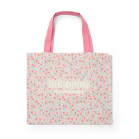 Beach Bag - Mulitcolour