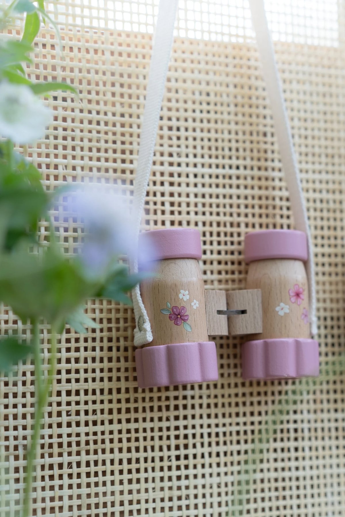 Binoculars Fairy Garden