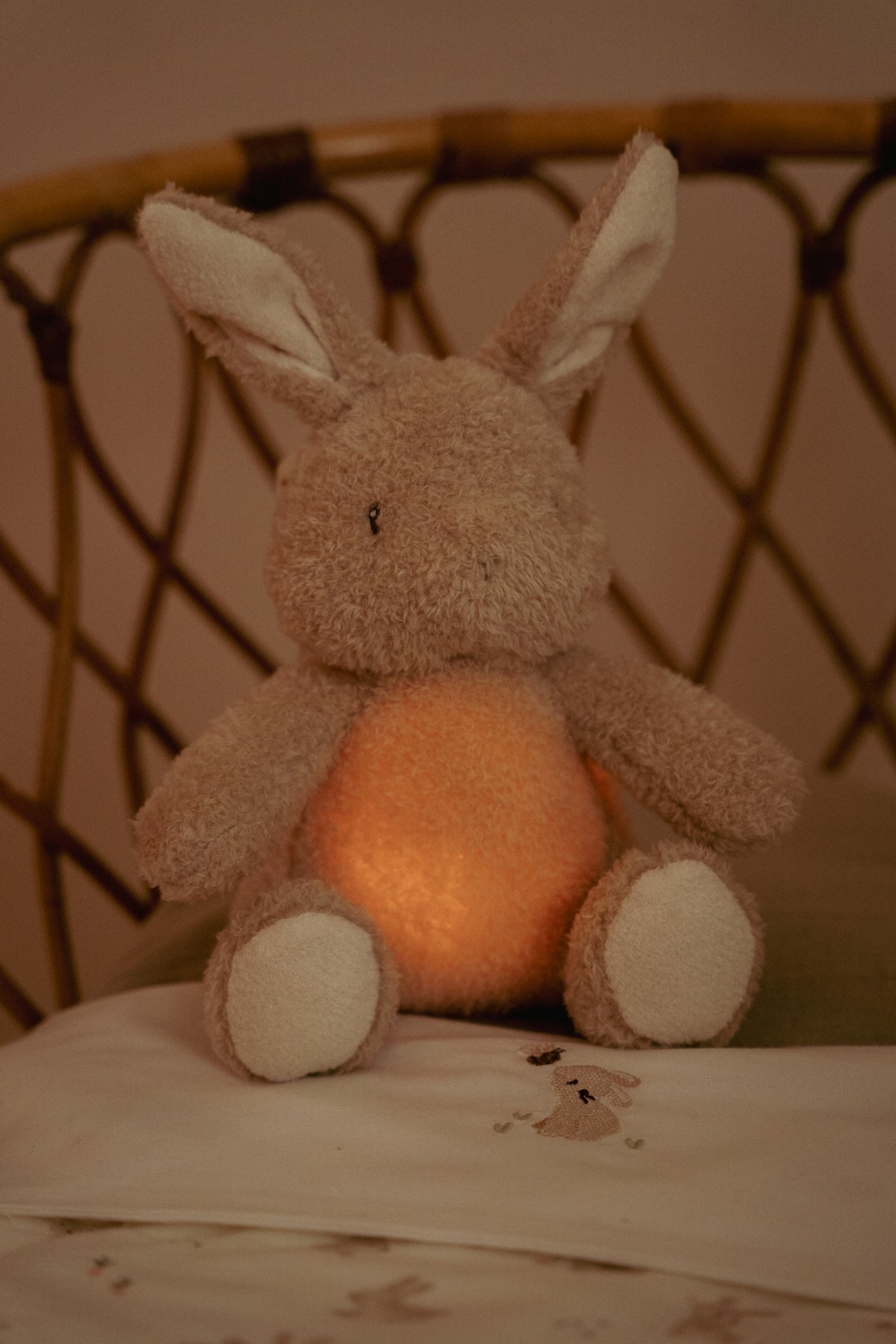 Cuddle Bunny - Light & Sound