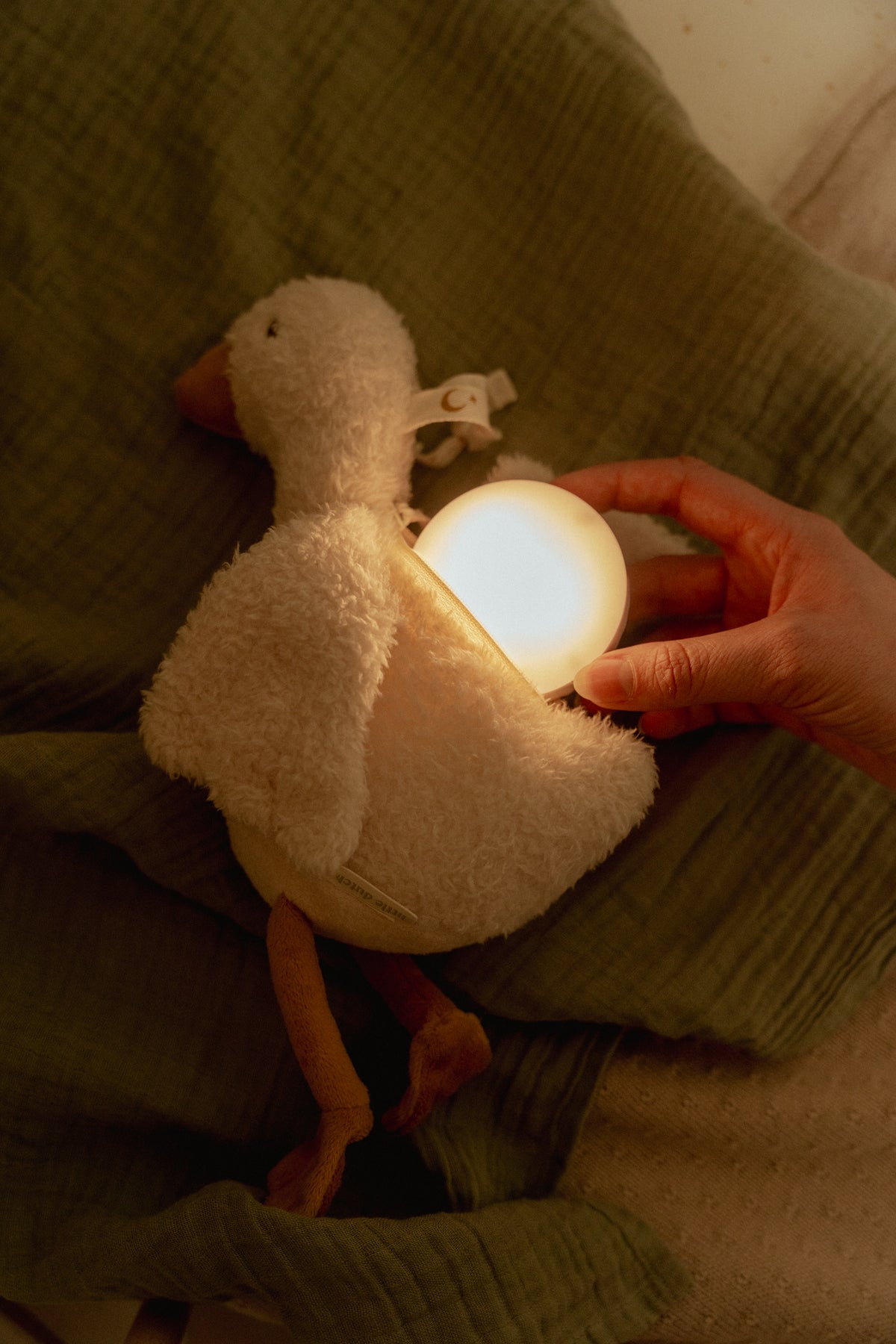 Cuddle Goose - Light & Sound
