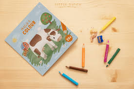 Sketch & Coloring Book Little Farm