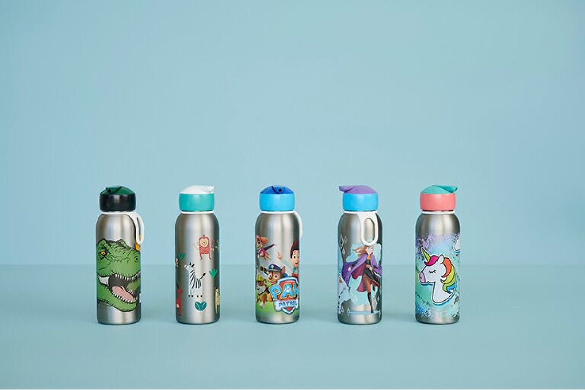 Insulated bottle flip-up Campus 350 ml - Frozen 2