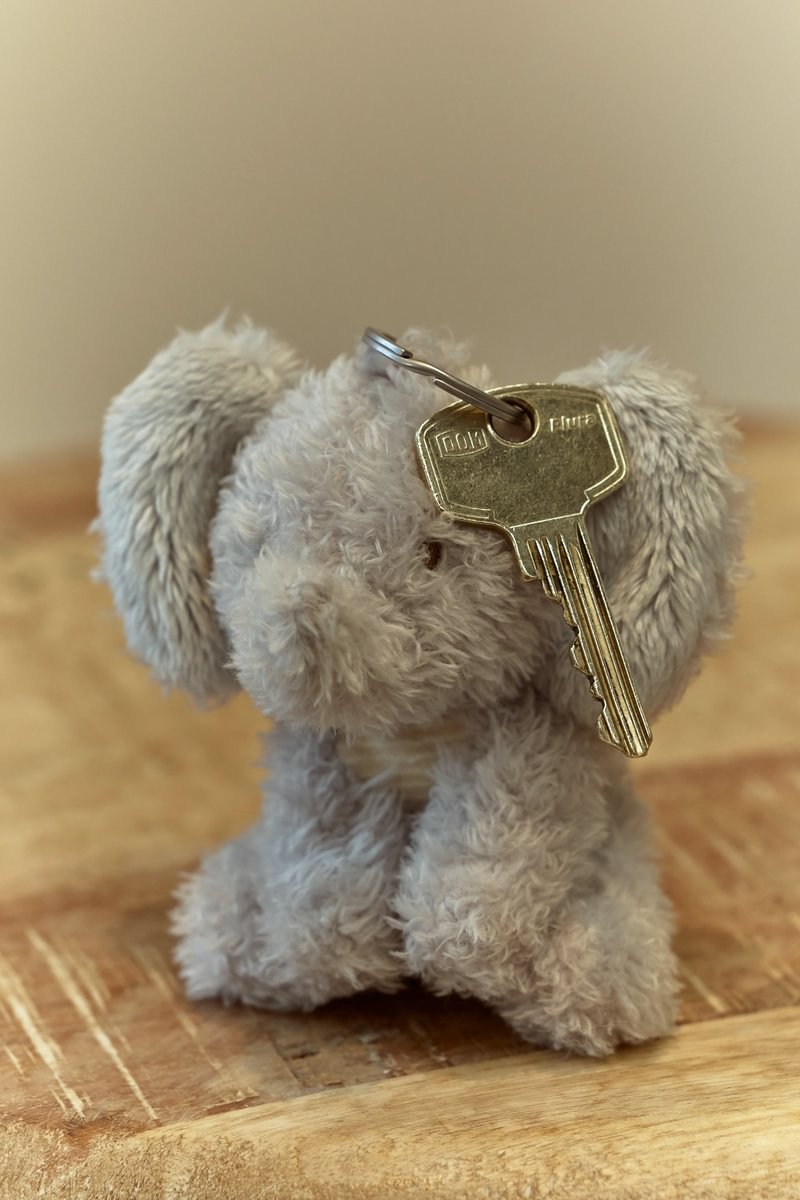 Keychain Elephant | Safari Friends GRS