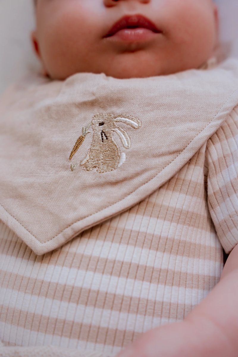 2-Pack Bandana Bib | Baby Bunny