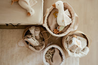 Activity Goose - Newborn Naturals