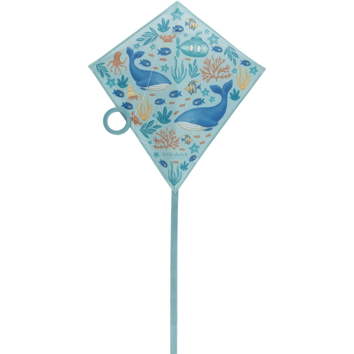 Diamond Kite | Ocean World