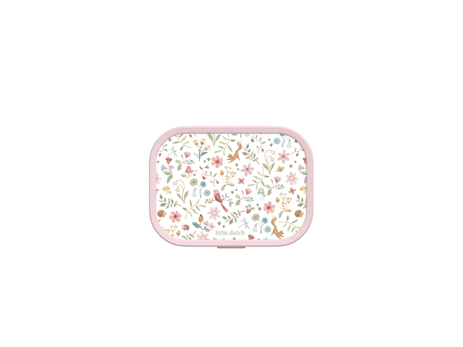 Lunch Box Campus - Fairy Wonders