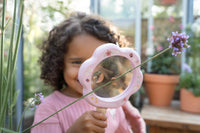 Magnifying Glass Fairy Garden