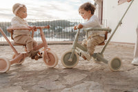 4 in 1 Tricycle Little Dutch