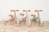 4 in 1 Tricycle Little Dutch