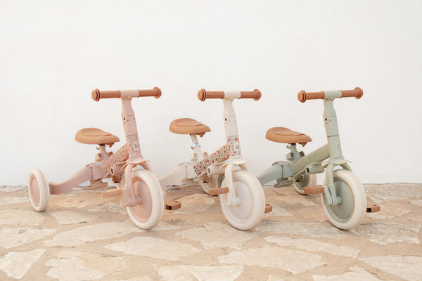 4 in 1 Tricycle Little Dutch