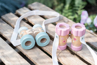 Binoculars Fairy Garden