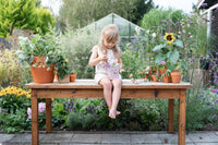 Bucket Fairy Garden