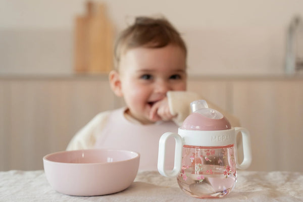 Non-Spill Sippy Cup - Fairy Garden