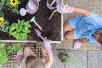 Watering Can Fairy Garden