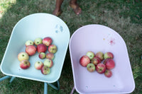Wheelbarrow Fairy Garden