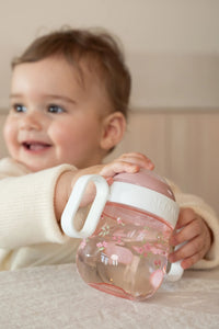 Non-Spill Sippy Cup - Fairy Garden