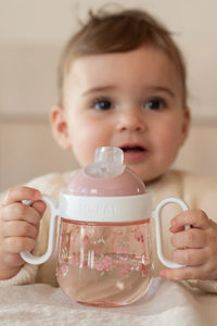 Non-Spill Sippy Cup - Fairy Garden