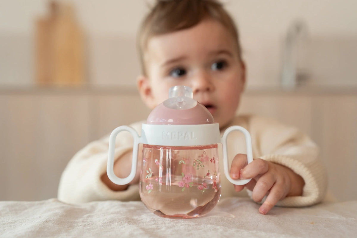 Non-Spill Sippy Cup - Fairy Garden