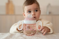 Non-Spill Sippy Cup - Fairy Garden