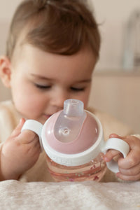 Non-Spill Sippy Cup - Fairy Garden