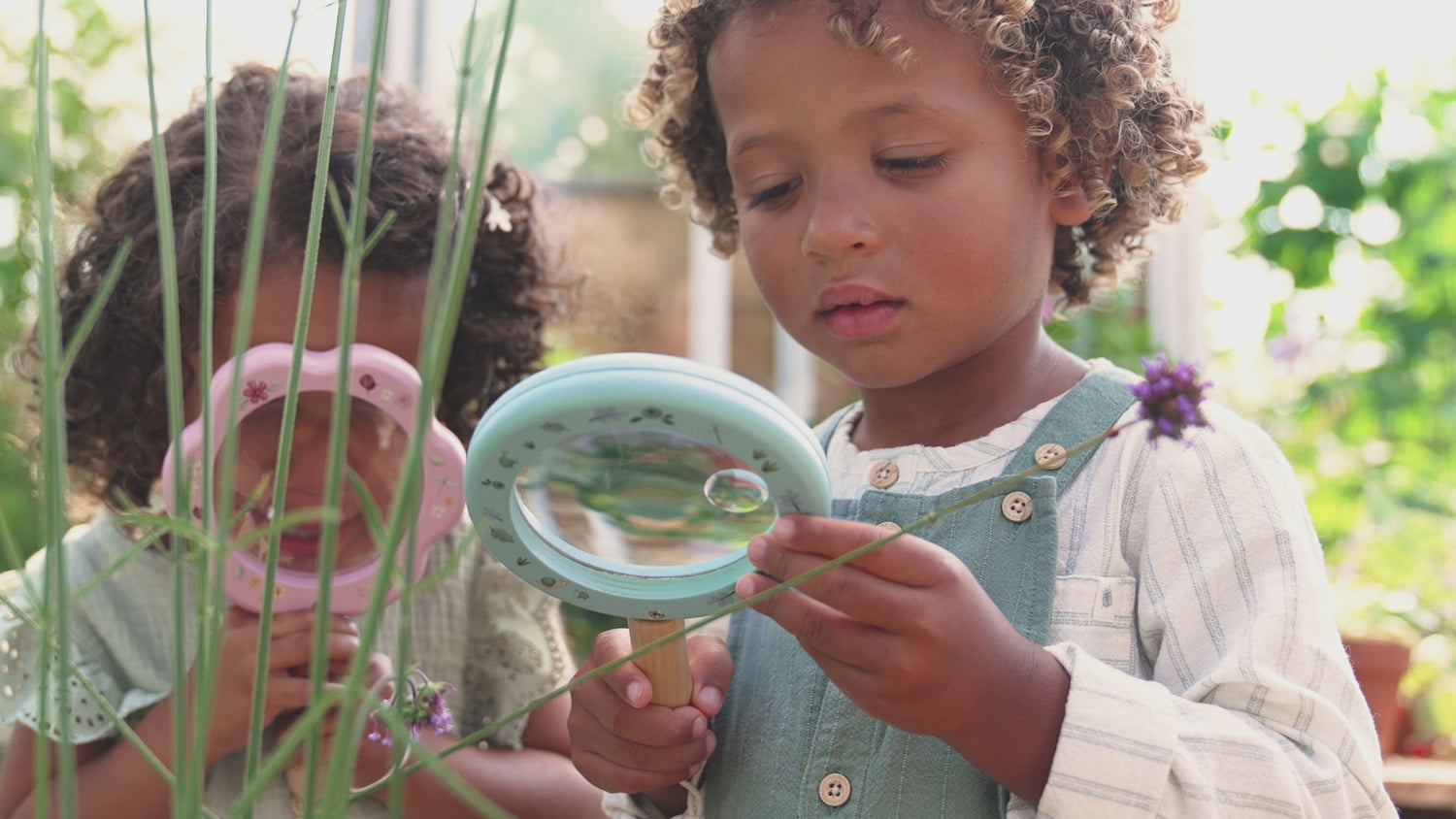 Magnifying Glass Forest Friends