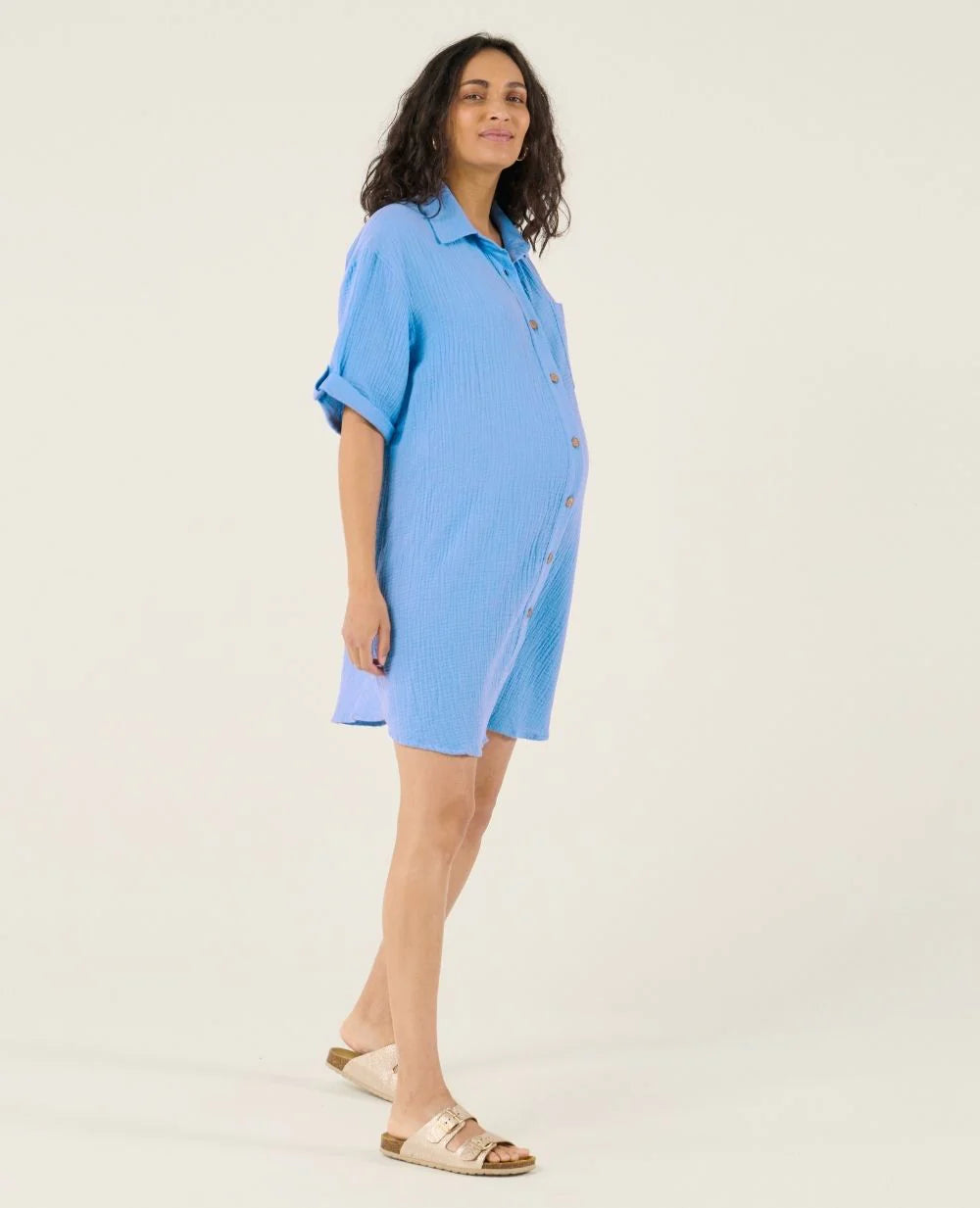 Bertille Maternity and Nursing Shirt Dress | Blue