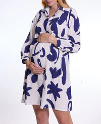Calliope Pregnancy & Breastfeeding Dress