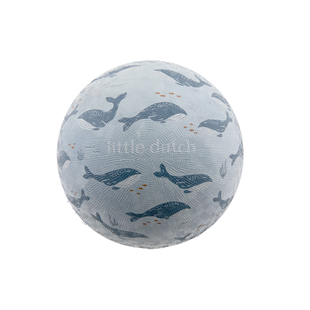 Rubber Ball | Ocean World