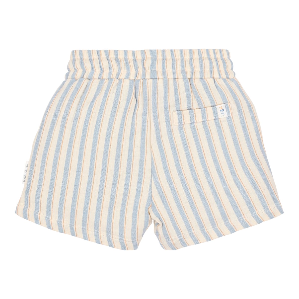 Shorts | Multi Stripe