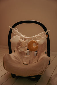 Carseat Toy Chain - Newborn Naturals