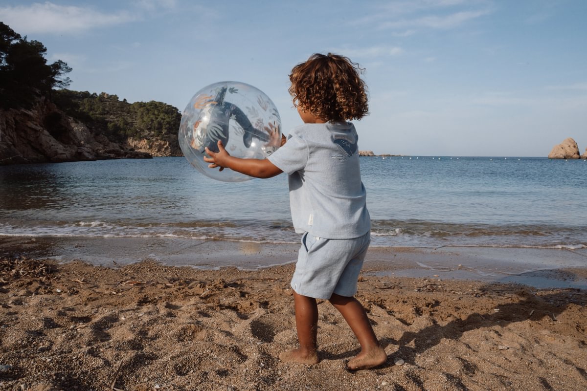Ocean World Beach Ball | 3D Whale