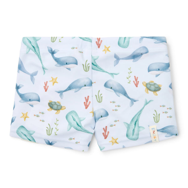 Swim Shorts - Ocean Sea Life Multicolour