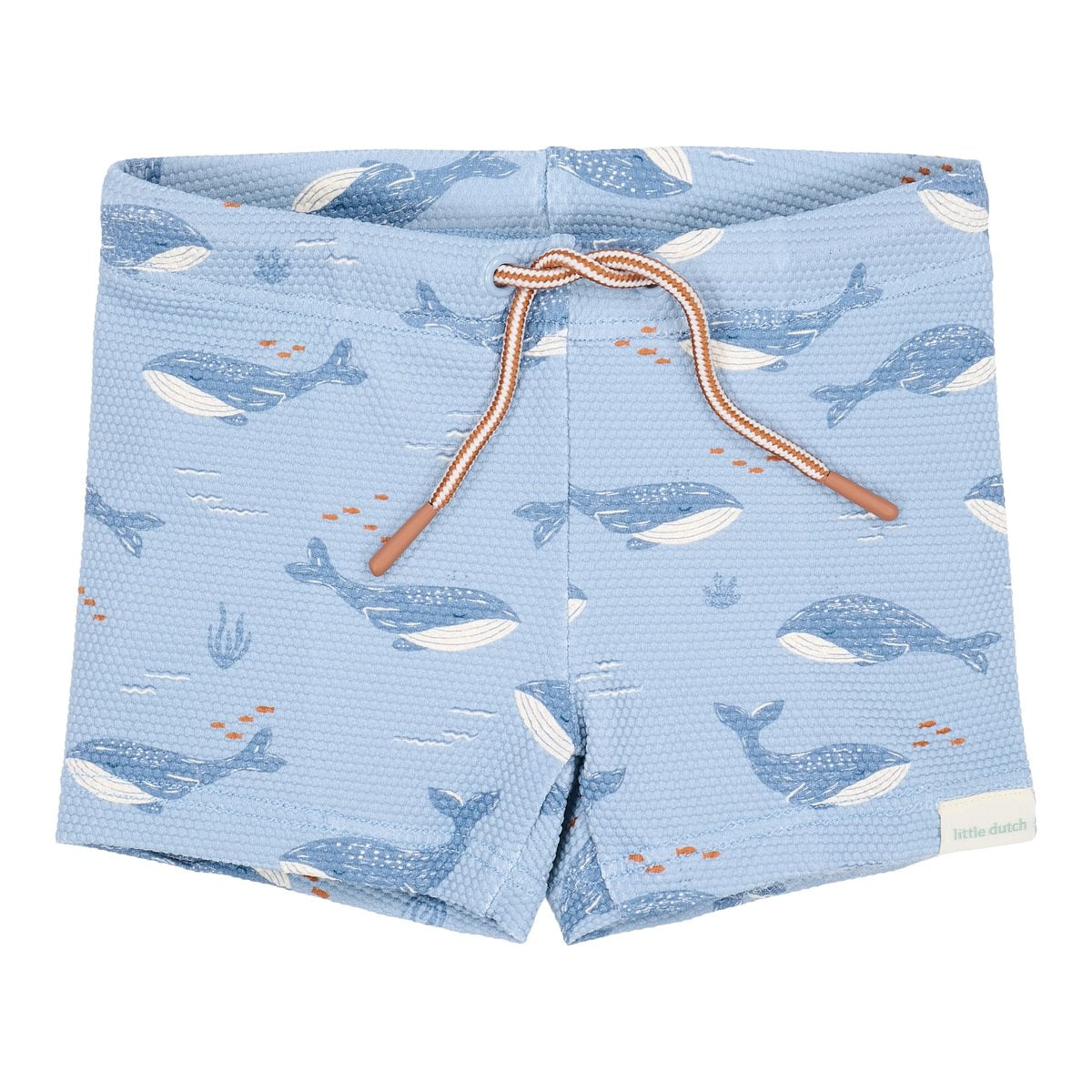 Swim Shorts | Ocean Splash