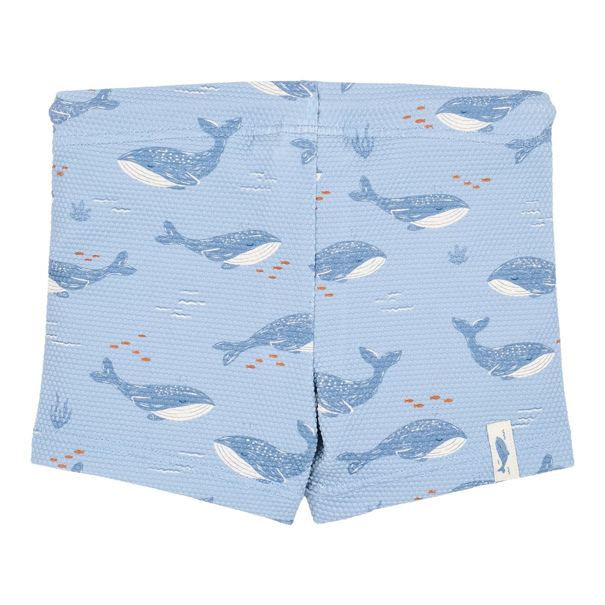 Swim Shorts | Ocean Splash