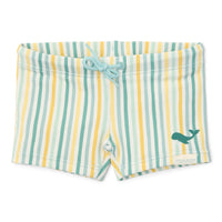 Swim Shorts - Stripes Multicolour
