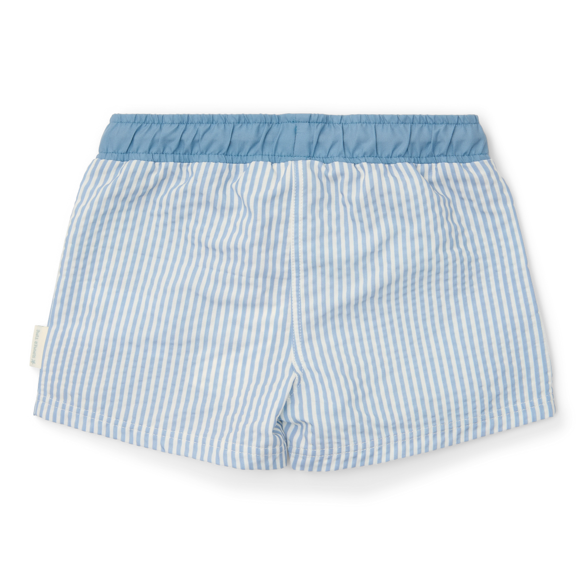 Swim Trunks - Sea Life Ocean Blue