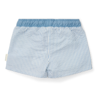 Swim Trunks - Sea Life Ocean Blue