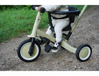 Tricycle with push bar LIO