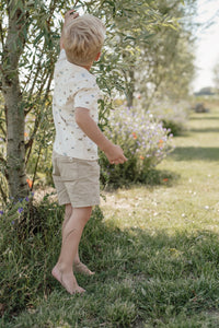 Shorts Brown