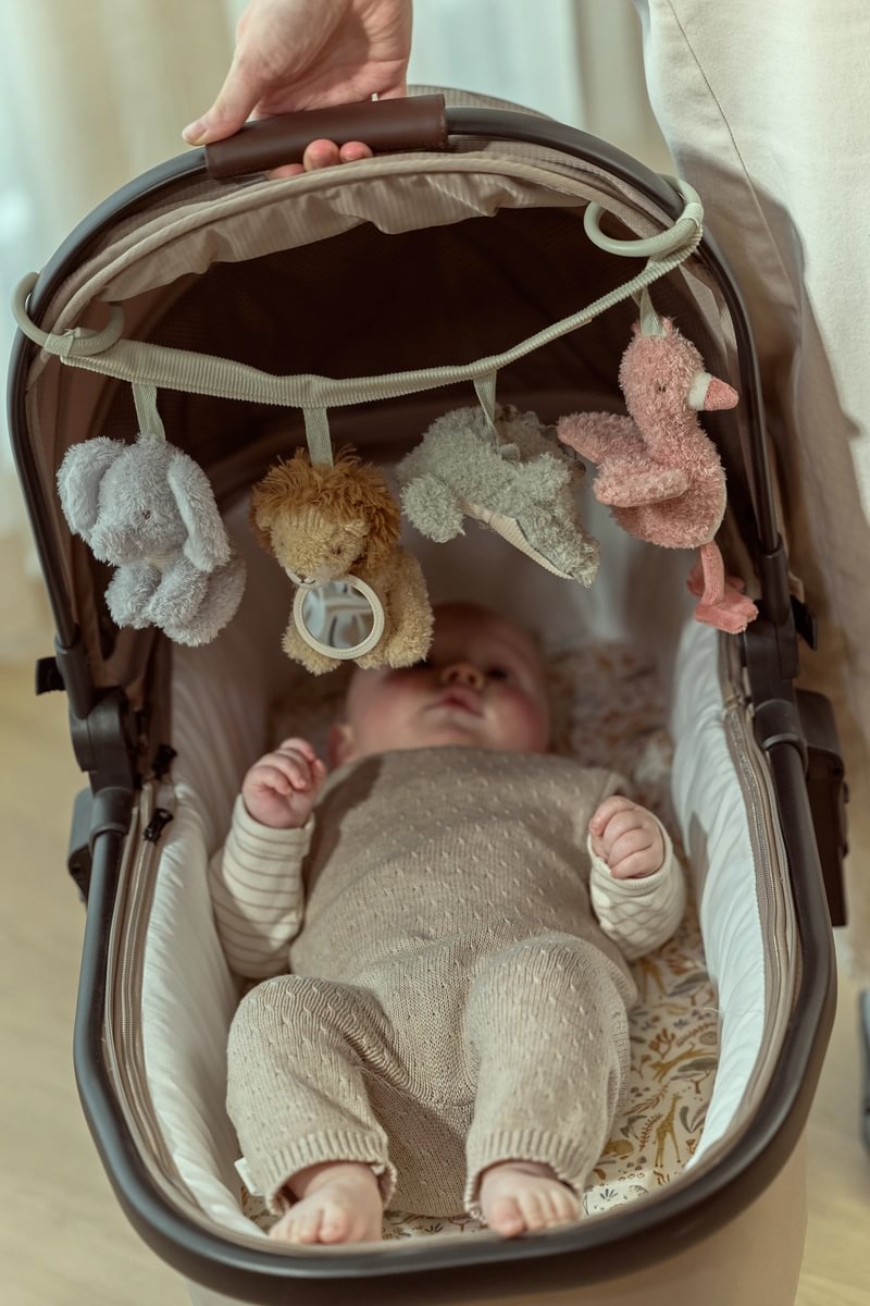 Carseat Toy Chain | Safari Friends