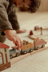Train Track Set XL FSC