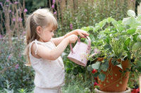 Watering Can Fairy Garden