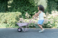Wheelbarrow Fairy Garden