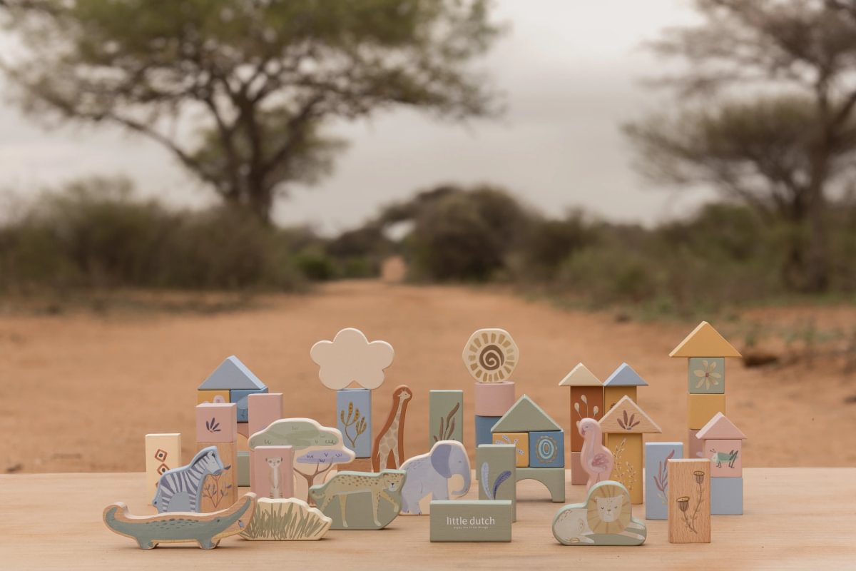 Building Blocks | Safari Friends FSC